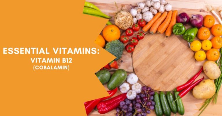 Vitamin B12: A Comprehensive Overview