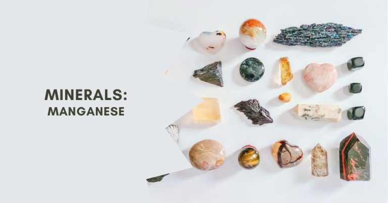 The Essential Role of Manganese in Our Health and Wellbeing